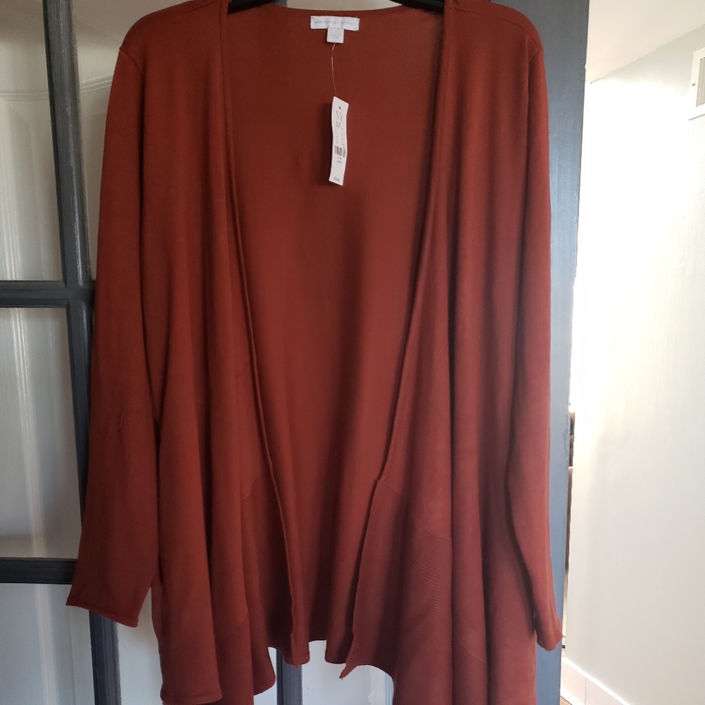 Rust color Fly Sweater-New York and Company